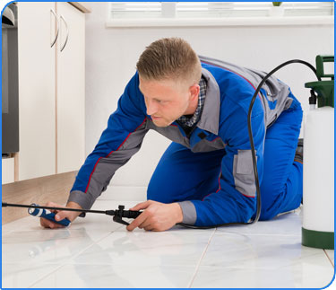 Carpet Cleaning - Gold Coast - Pest Control with Instrument