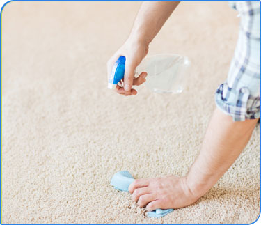 Carpet Cleaning - Gold Coast - Stain Removal